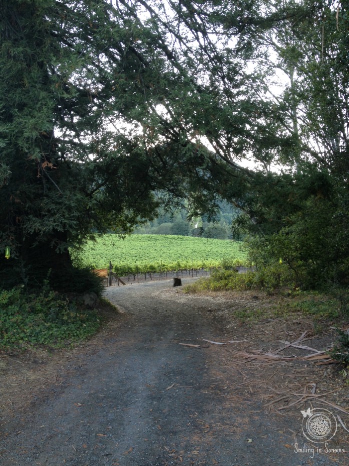 Trail to Pig Palace