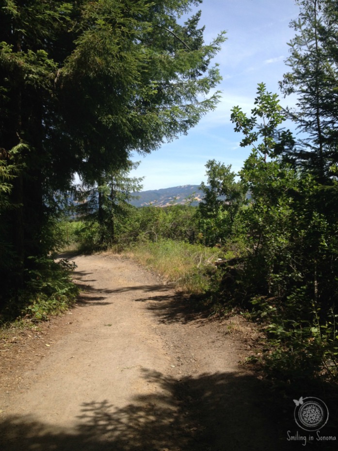 View from one of the upper trails